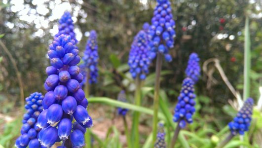 2013-04-29 17.21.48.jpg