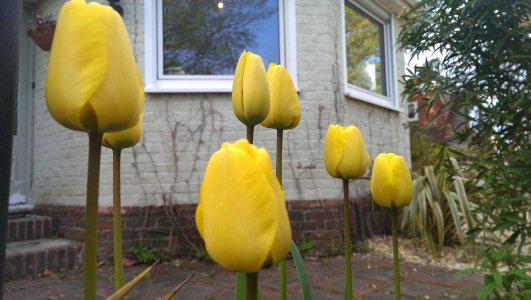 2013-04-29 18.16.52.jpg