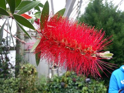 20130406_132134.jpg