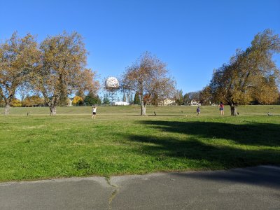 IMG_20201101_141029-.jpg
