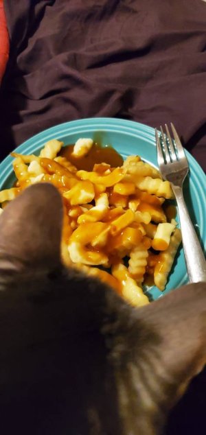 20210119_200346.jpeg
