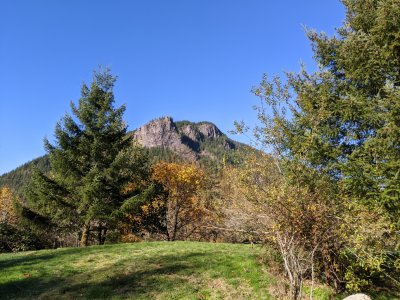 IMG_20201102_104405.jpg