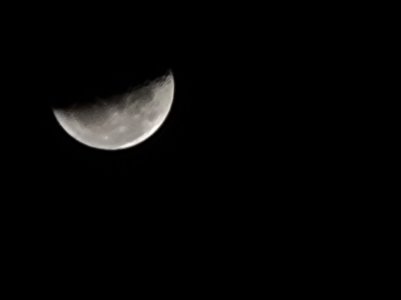 20210504_043958.jpg