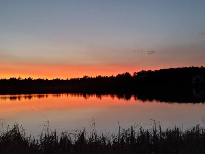IMG_20201104_084506.jpeg
