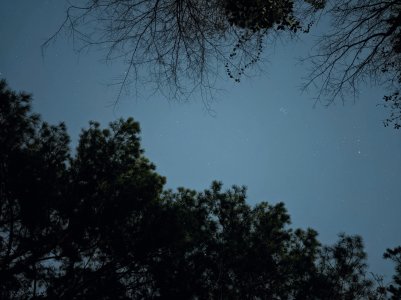 PXL_20210117_024232964.NIGHT_3.jpg