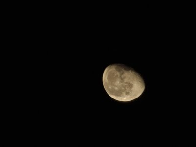20201104_220324.jpg