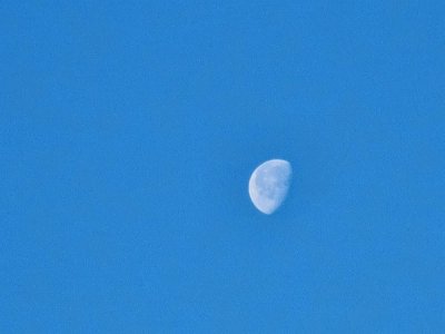20201106_103014.jpeg
