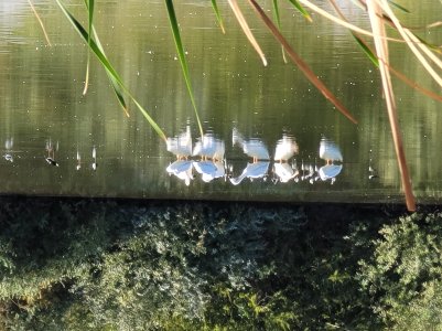 20201107_092620.jpg