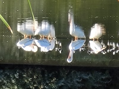 20201107_092638.jpg
