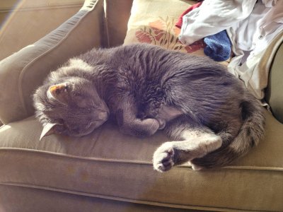 20210124_092703.jpg