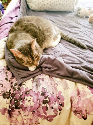 20201108_131122_01.jpeg