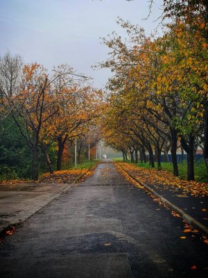 20201109_115541-01.jpeg