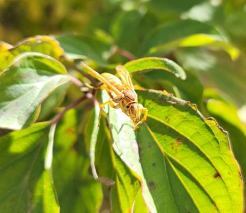 20201109_125436.jpg