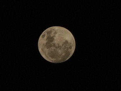 20201030_192302.jpg