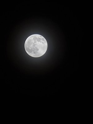 20210128_211405.jpg