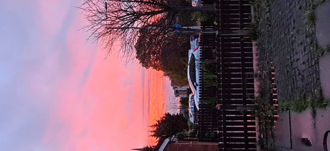 20201111_072411_resized.jpg