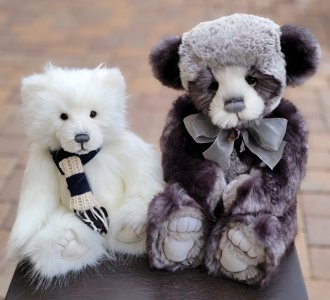 s21 bears.jpg