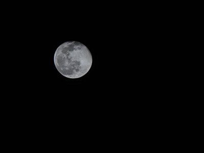 20210129_224515.jpg