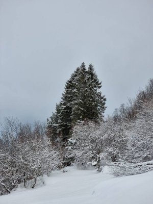 20210130_141849.jpg