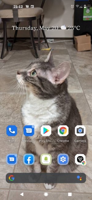 Screenshot_20210520-211219.jpg