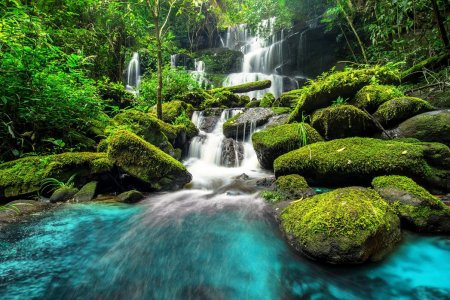 green-forest-waterfall.jpg