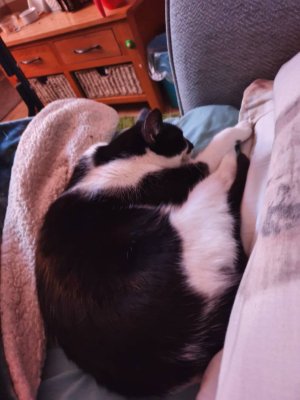 20201115_051215.jpeg