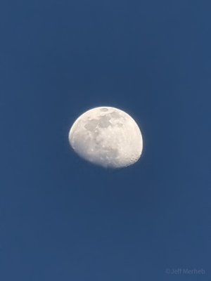 51197139565_226ca7d5df_b.jpg