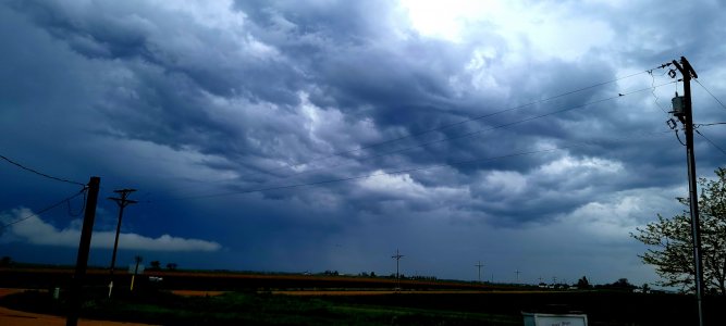 20210522_160015.jpg