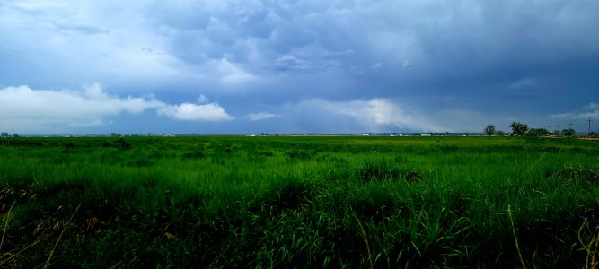 20210522_160120.jpg