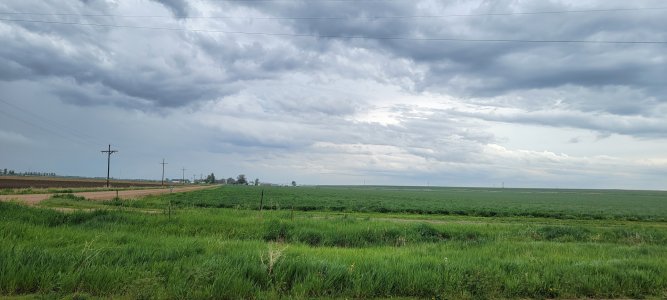 20210522_160307.jpg