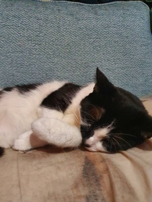 20201116_224905.jpeg