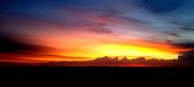 20210526_052445.jpg