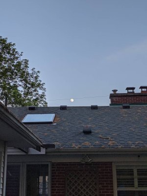 PXL_20210525_003537923.jpg