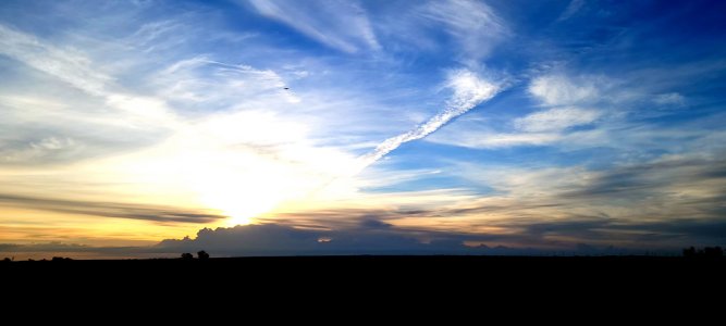 20210526_060509.jpg