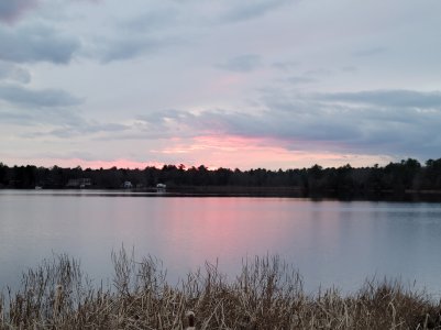 IMG_20201118_085323.jpg