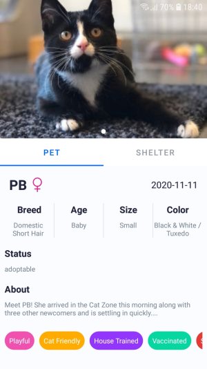 Screenshot_20201112-184035_Adopt Me.jpg