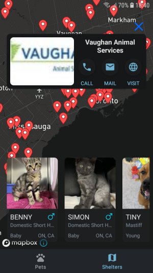 Screenshot_20201112-184005_Adopt Me.jpg