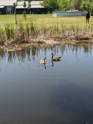 PXL_20210524_181413648.jpg