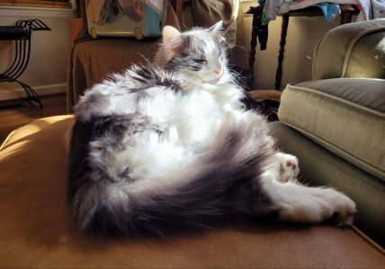 20201118_125221.jpeg