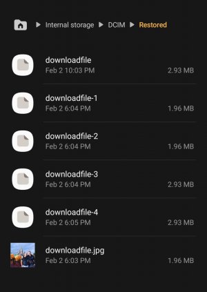 Screenshot_20210202-220618_My Files.jpg
