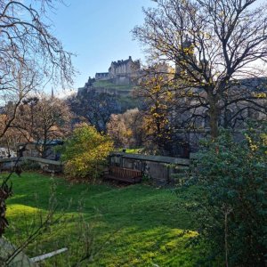 IMG_20201119_190005_182.jpeg