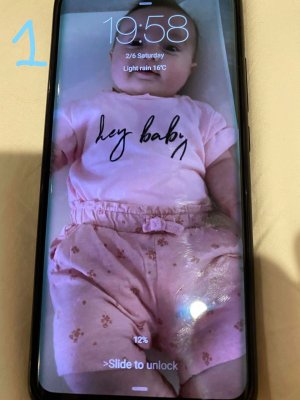 1 photo.jpg