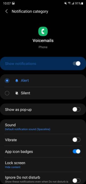 Screenshot_20210206-100750_Settings.jpg