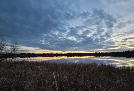 IMG_20201121_164335.jpg