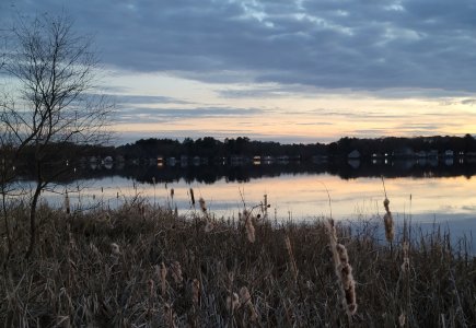 IMG_20201121_164511.jpg