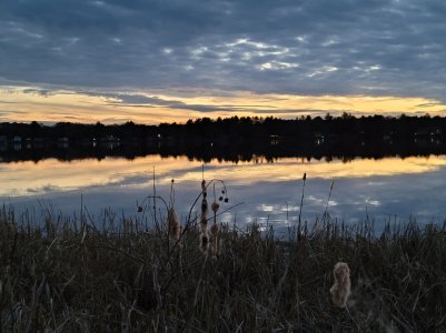 IMG_20201121_164546.jpg