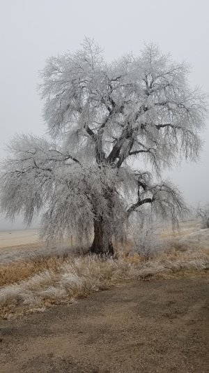 20180209_155159.jpg