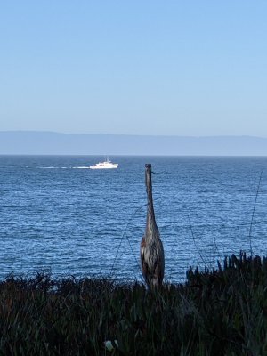 PXL_20210206_234205043.jpg