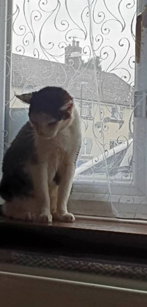 20201118_130001.jpeg