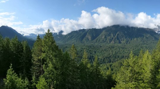PXL_20210609_151818100.PANO-.jpg